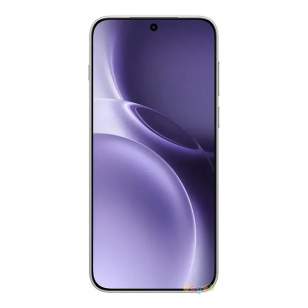 Vivo X300 Pro V2502A 16/512Gb (китайская версия)